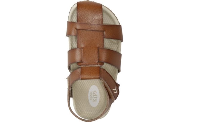 Larson Sandal Dr Scholl's Larson Sandal Marrom | StipukUq