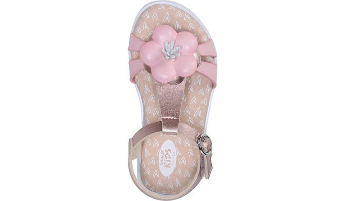 Pennelope Sandal Dr Scholl's Pennelope Sandal Rosa | TnHnl8aO